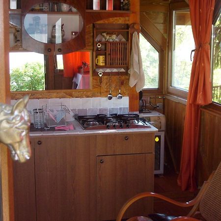 Transylvania Cowboy Cottage Cluj-Napoca Esterno foto