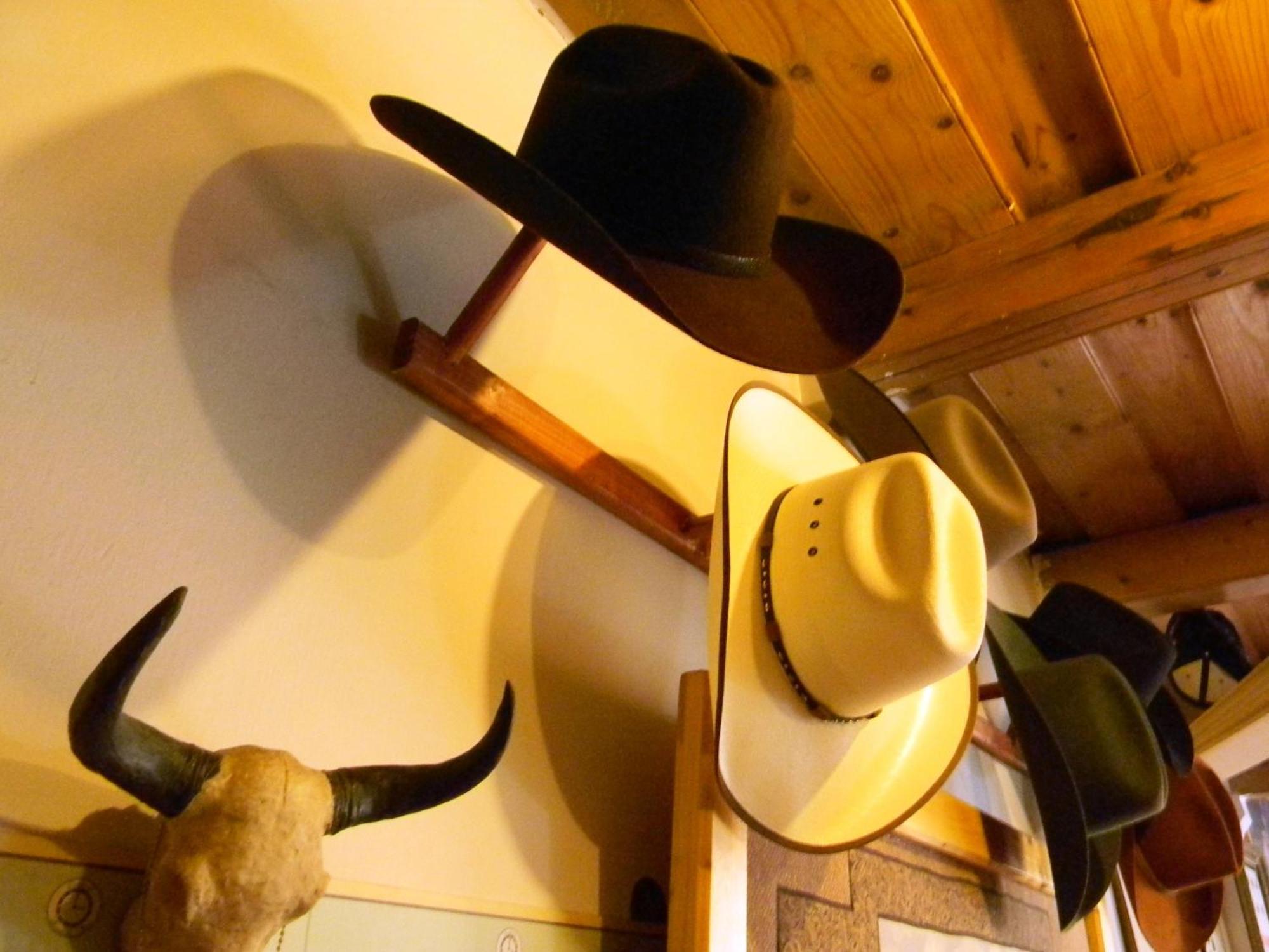 Transylvania Cowboy Cottage Cluj-Napoca Esterno foto